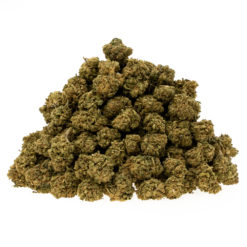 gras-cbd-sour-lemon-EU_haufen_web