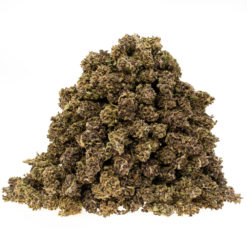 gras-cbd-black-domina_haufen_web